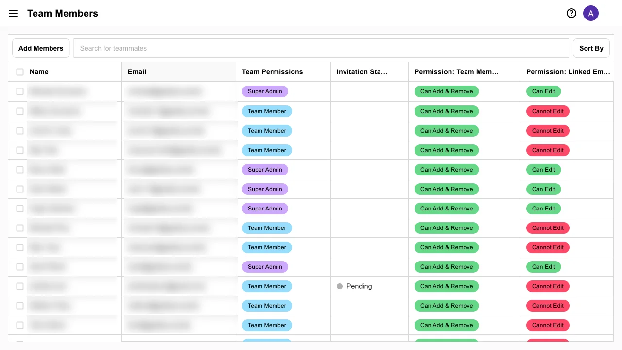 Team Members page showing permission levels and per-user permission status columns visible to Super Admins